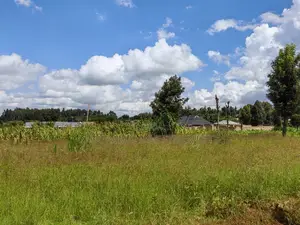 50x100 Plot for Sale in Kikuyu Kiambu County.