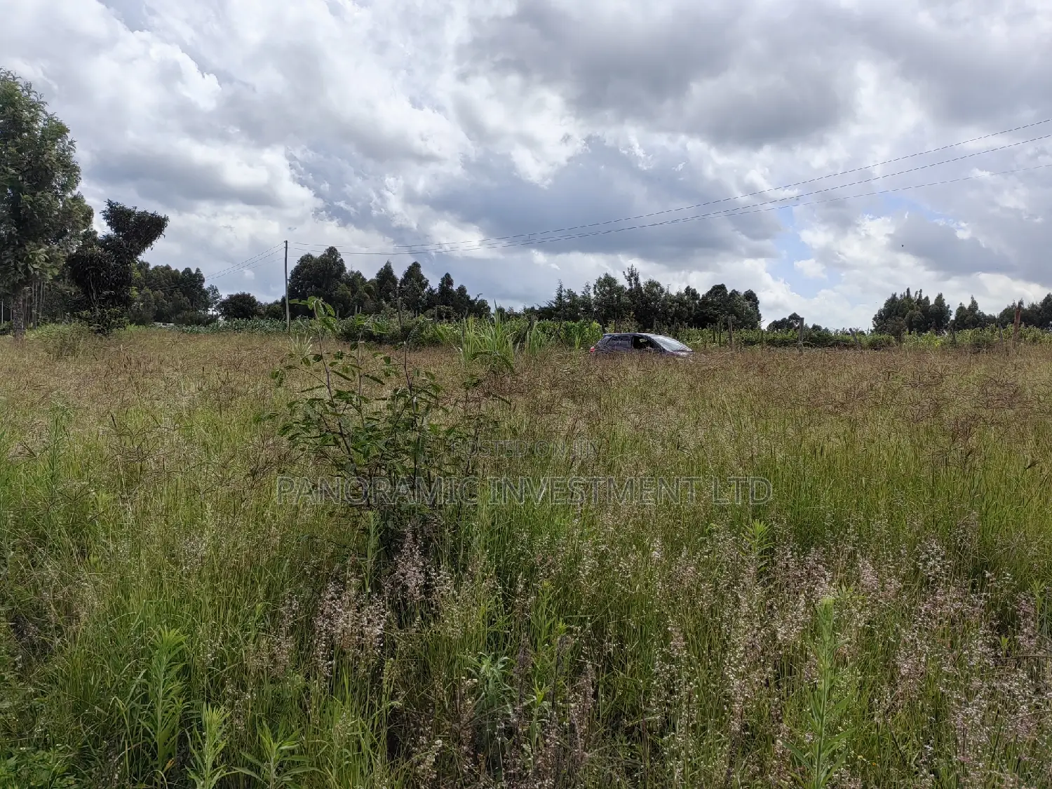 50x100 Plot for Sale in Kikuyu Kiambu County.