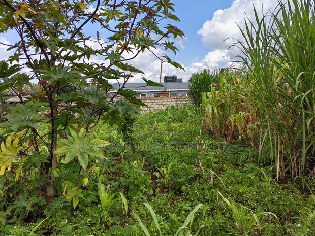 50x100 Plot for Sale in Kikuyu Kiambu County. - thumbnail 6