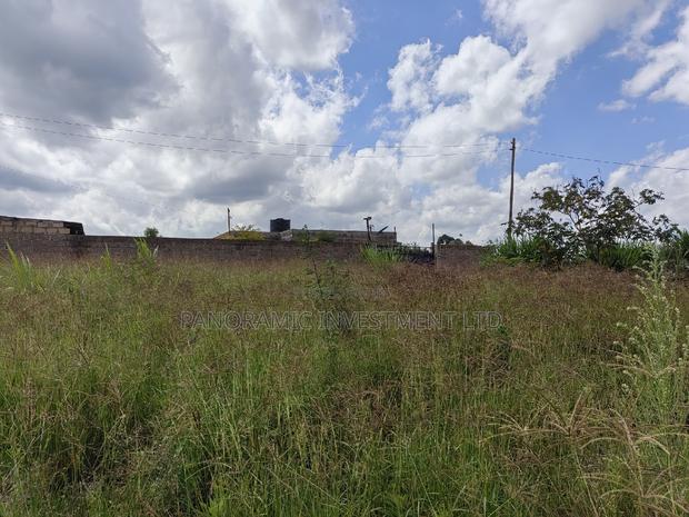 50x100 Plot for Sale in Kikuyu Kiambu County. - thumbnail 7