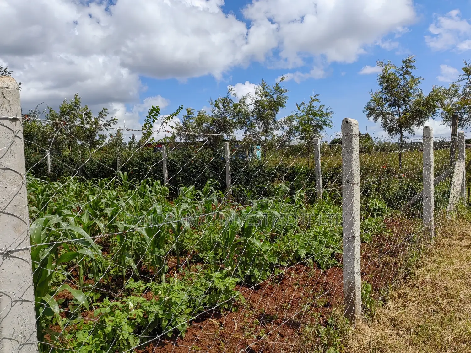 50x100 Plot for Sale in Kikuyu Kiambu County.
