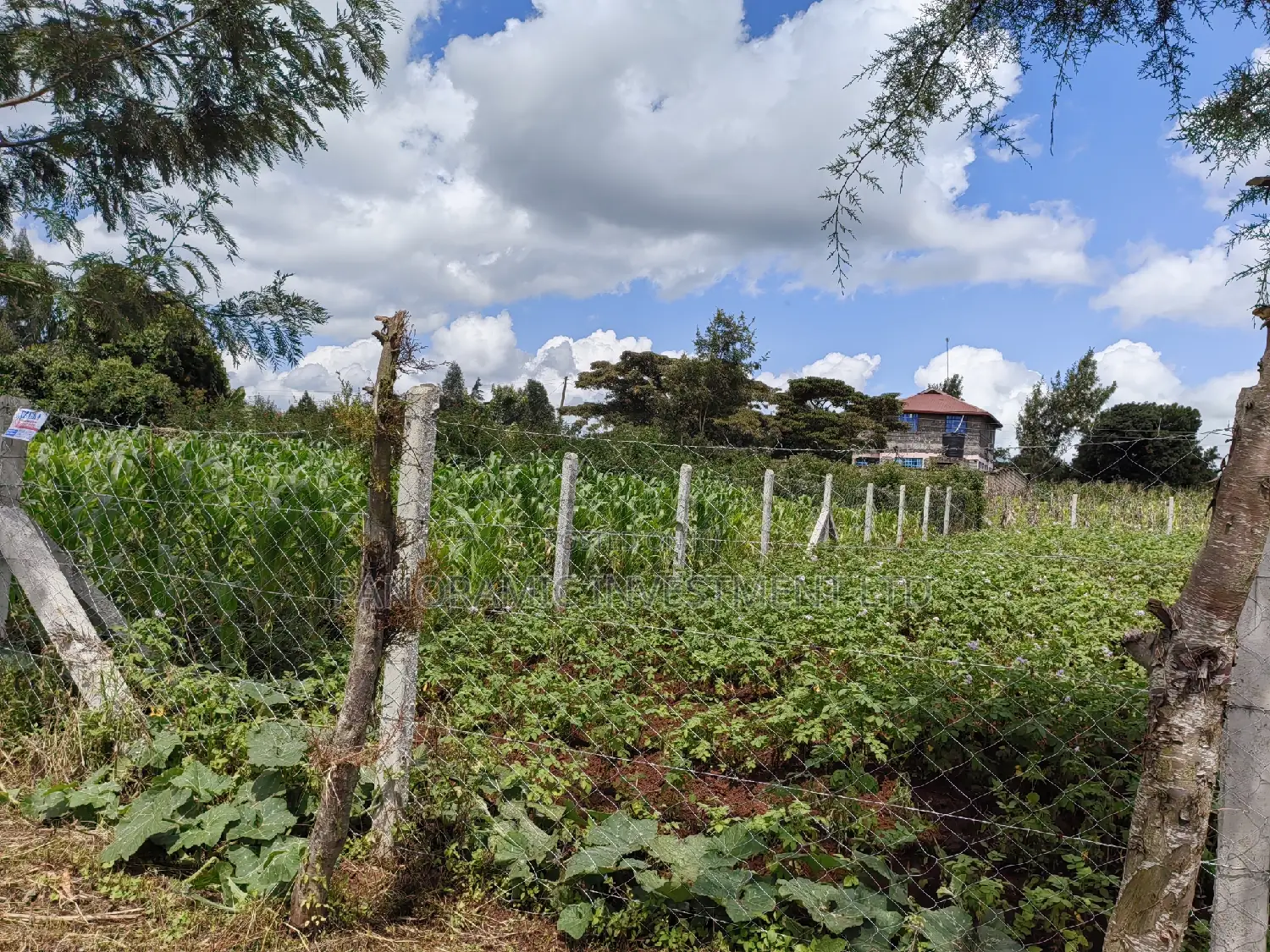 50x100 Plot for Sale in Kikuyu Kiambu County.