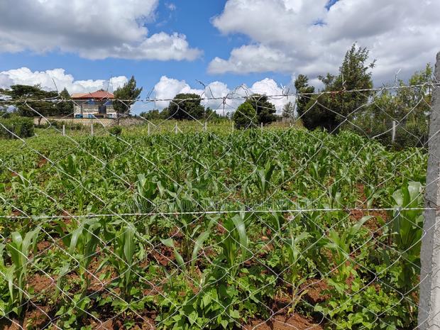 50x100 Plot for Sale in Kikuyu Kiambu County. - thumbnail 10