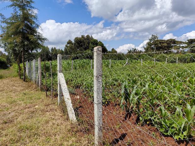 50x100 Plot for Sale in Kikuyu Kiambu County. - thumbnail 11