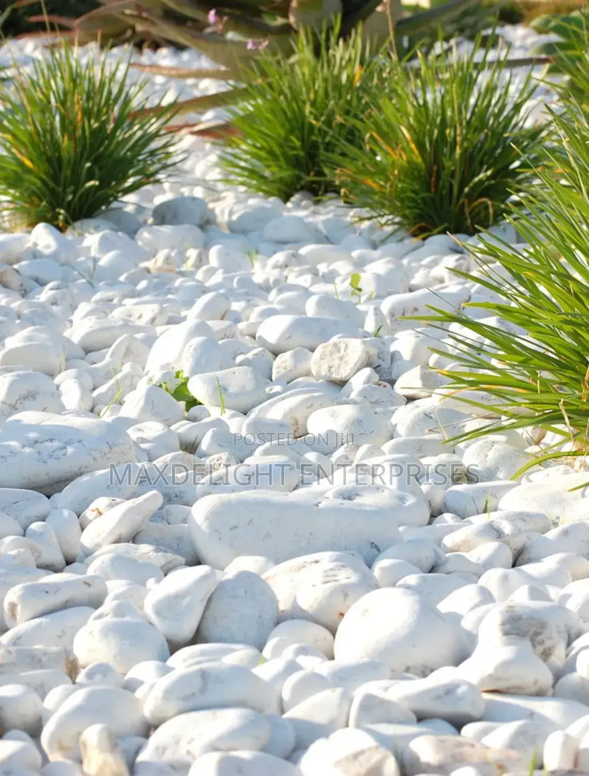 Pebbles Stones