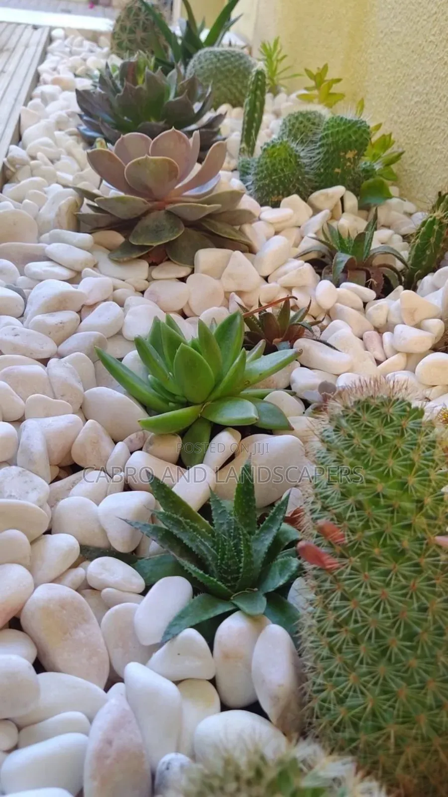 Pebbles Stones