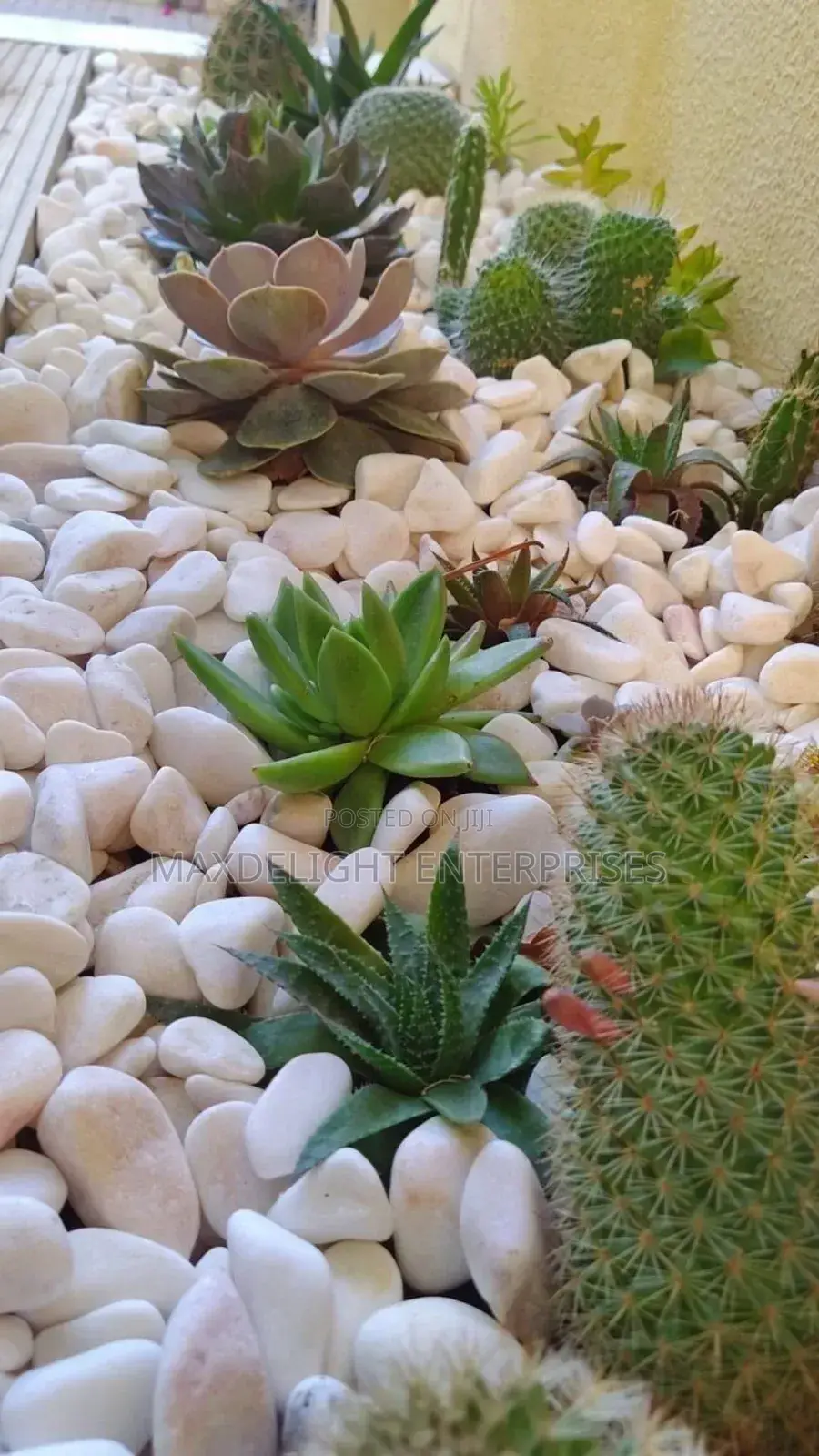 Pebbles Stones