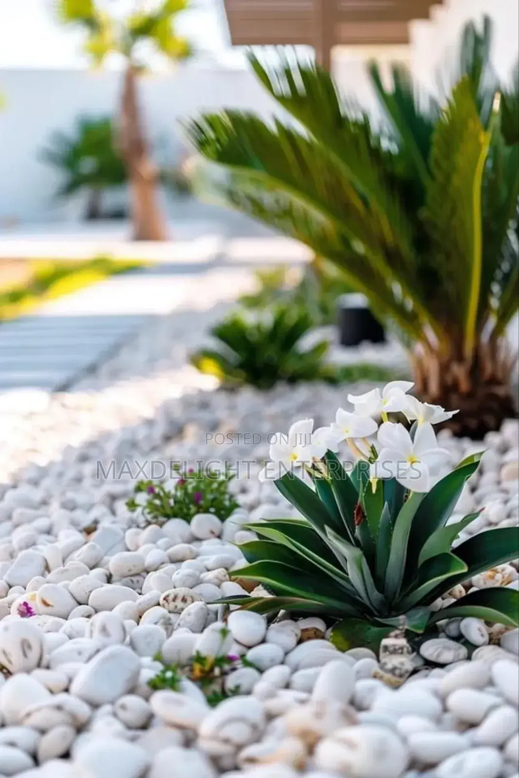 Pebbles Stones