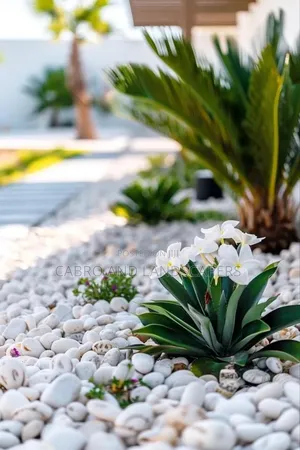 Pebbles Stones