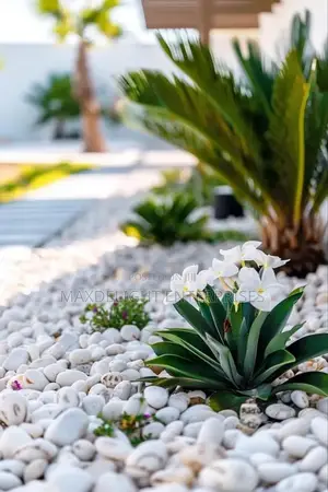 Pebbles Stones