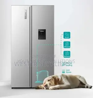 Hisense Fridge Side by Side 541 Liters With Water Dispenser