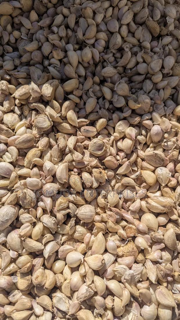 Garlic Seed - thumbnail 9