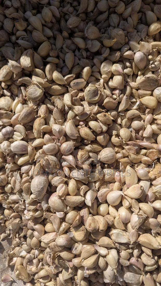 Garlic Seed - thumbnail 11