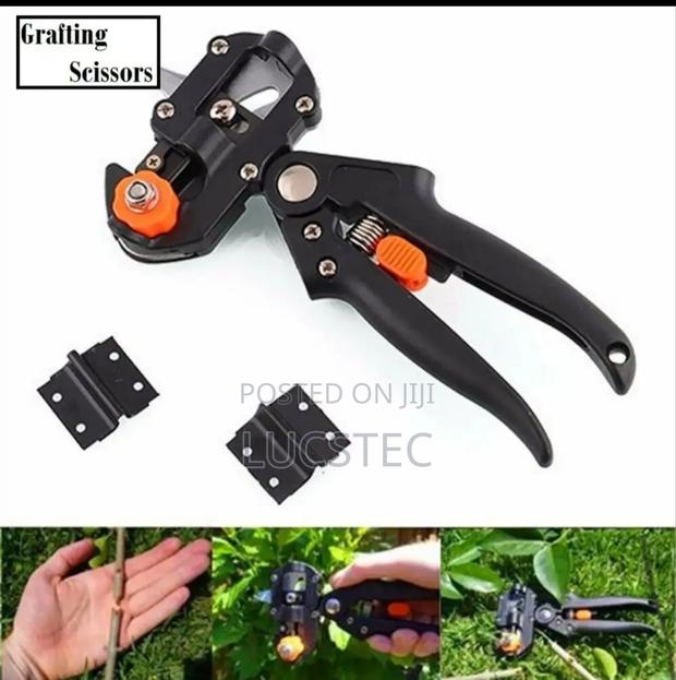 Grafting Tool