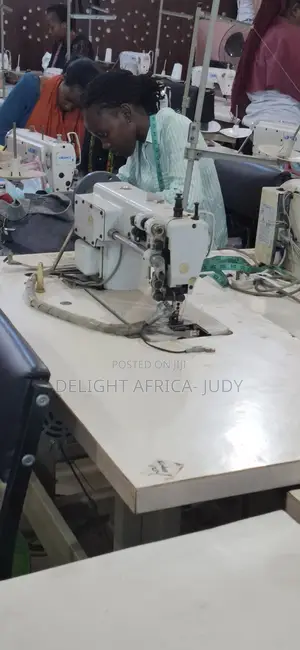 Walking Foot Sewing Machine