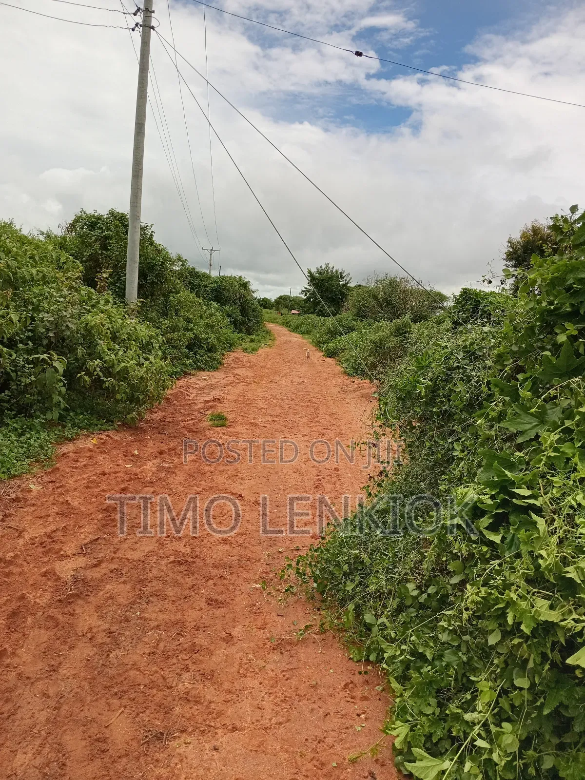 Commercial Land.