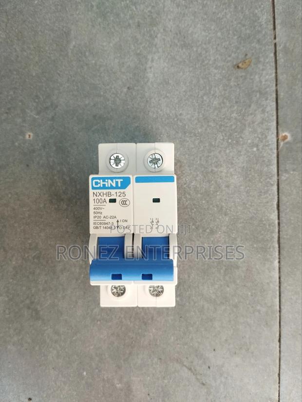 Double Pole Chint 100 Amps