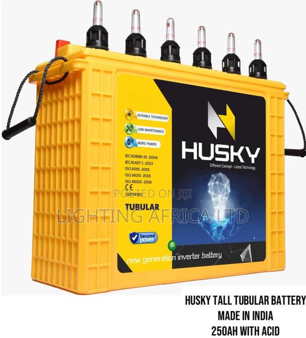 Husky 250ah/12v Tall Tubular Wet Cell Solar Battery - main view
