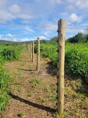 Top-Quality Poles. Flawless Fencing.