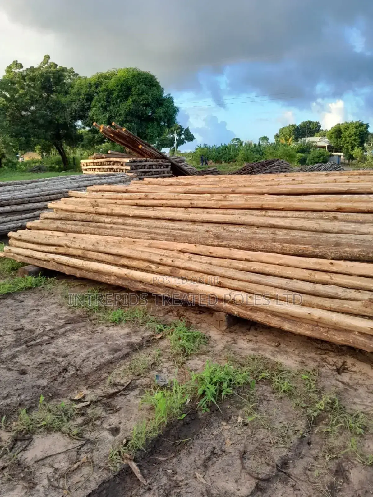 Building Poles for Construction