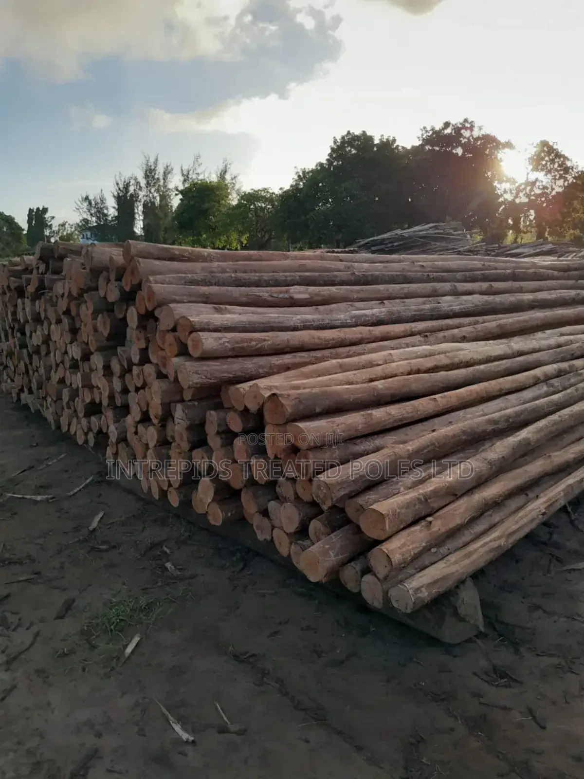 Building Poles for Construction