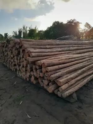 Building Poles for Construction