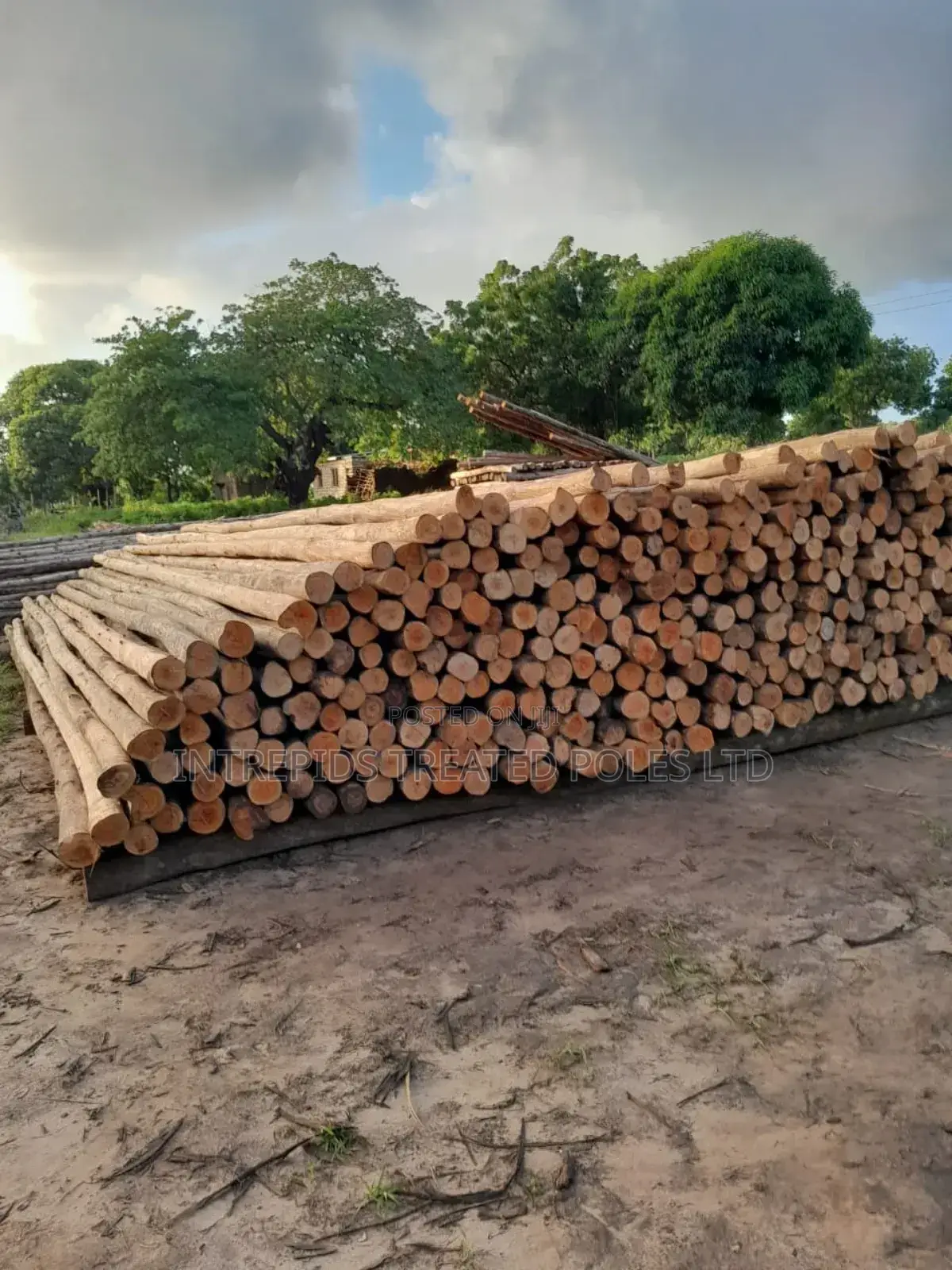 Building Poles for Construction