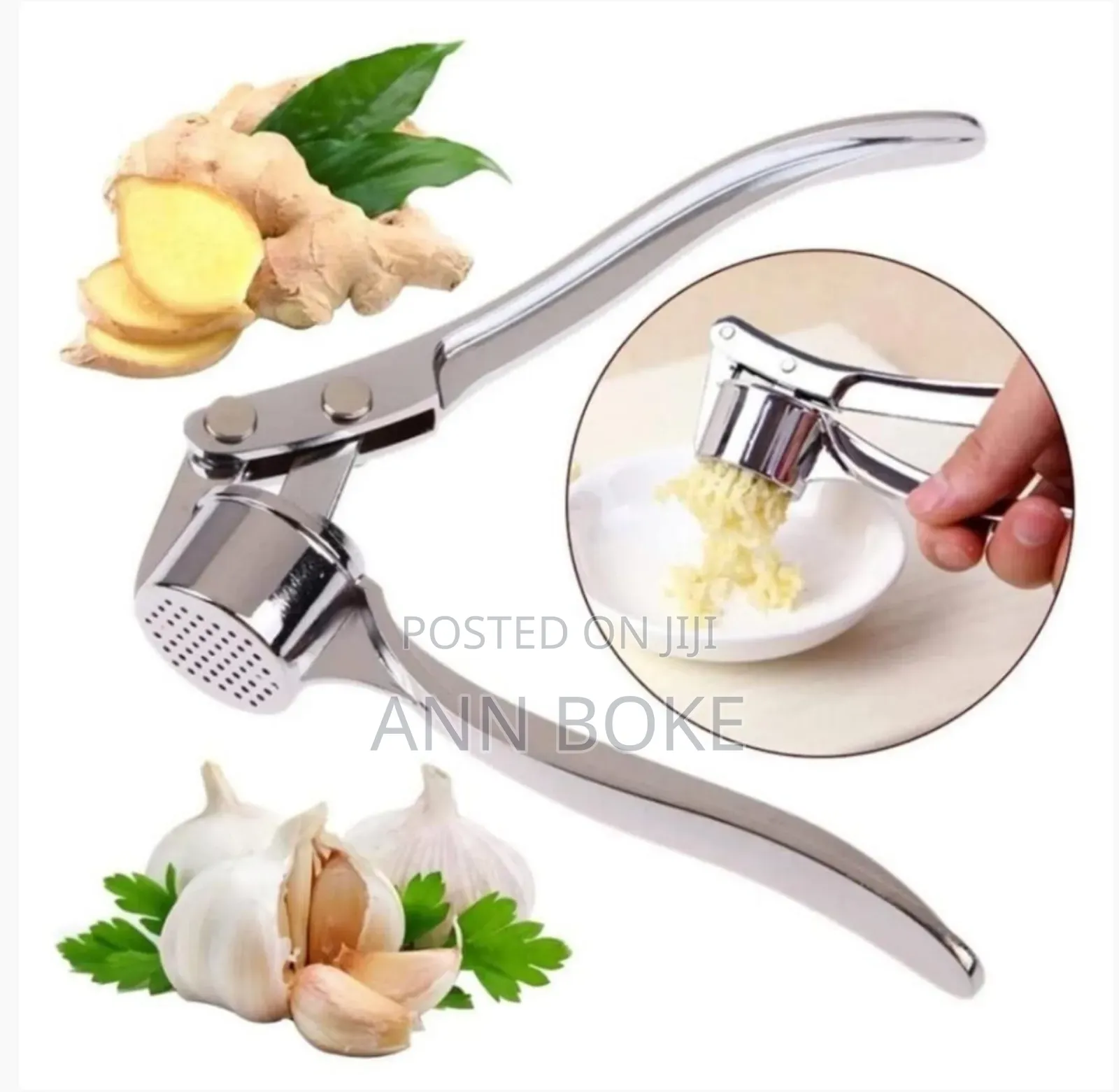 Stainless Steel Garlic Crusher