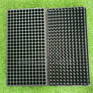 Seedling Tray