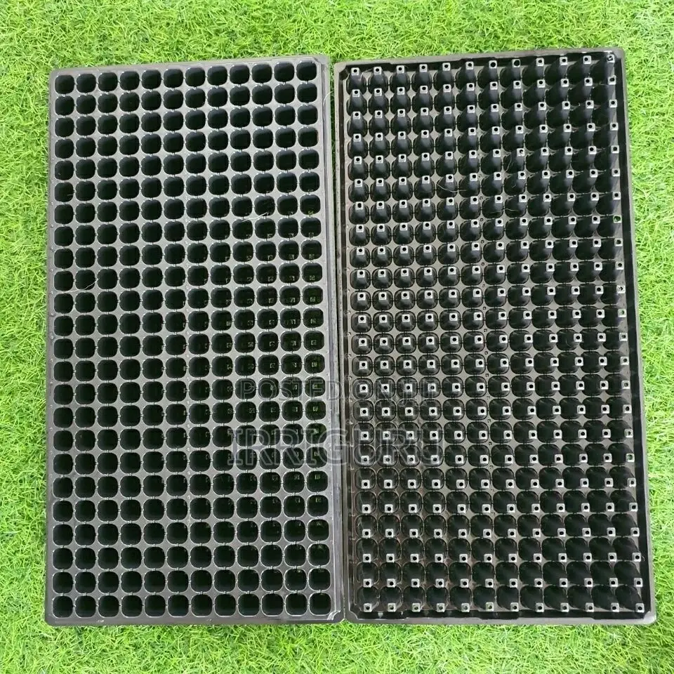 Seedling Tray