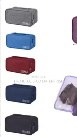 Portable Undergarments Organizer Bag