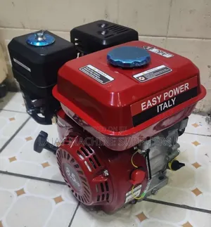 Easy Power Italy 8.5hp Petroleum Engine