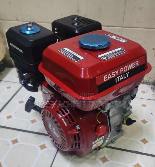 Easy Power Italy 8.5hp Petroleum Engine