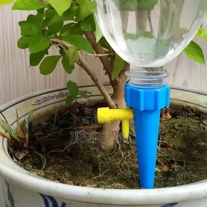 Flowers, Horticulture, Irrigation, Home Potted Plants, Bever