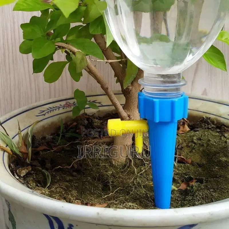 Flowers, Horticulture, Irrigation, Home Potted Plants, Bever