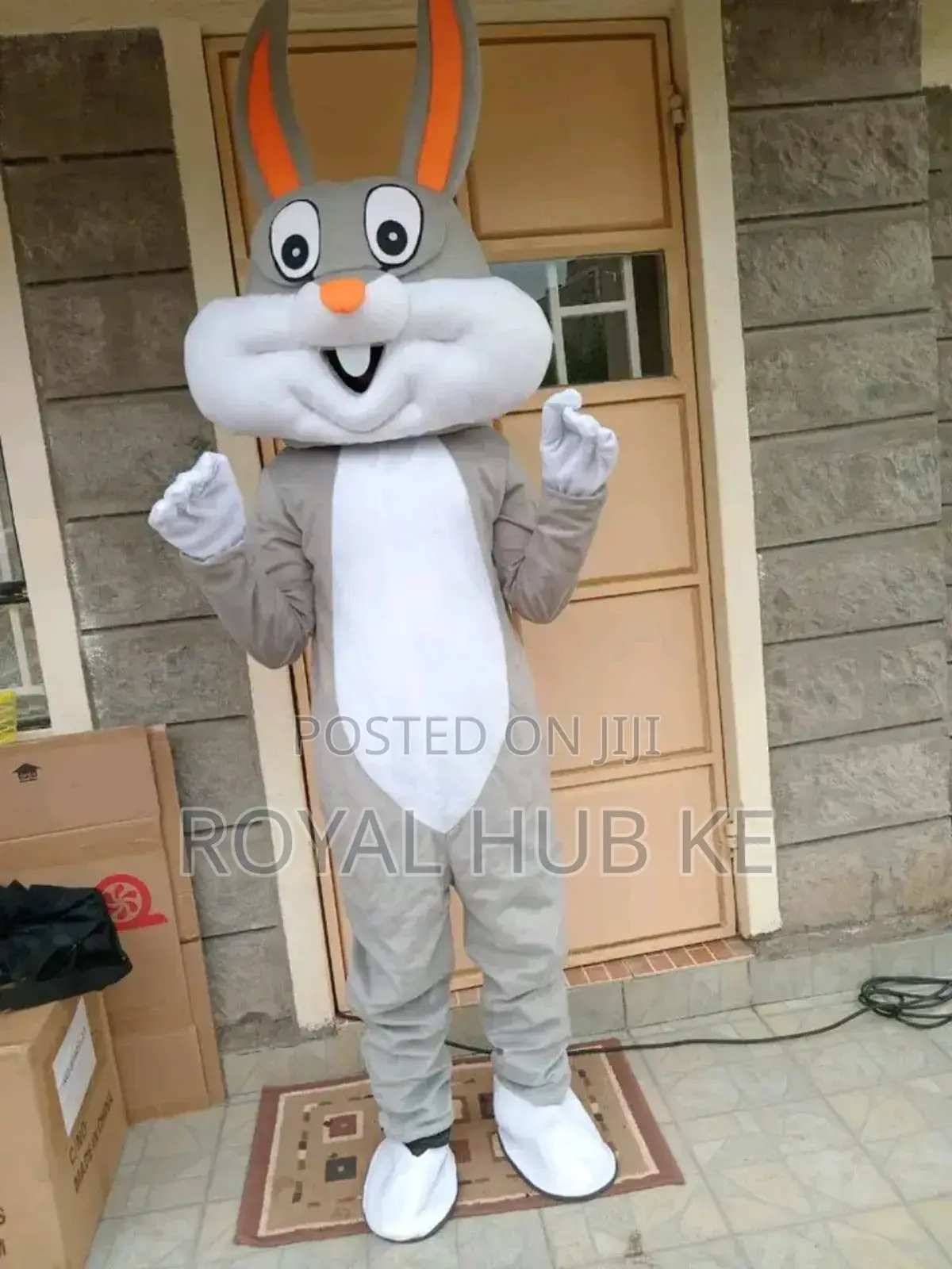 Mascots Hire