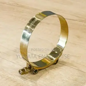 Gold Hose Clips
