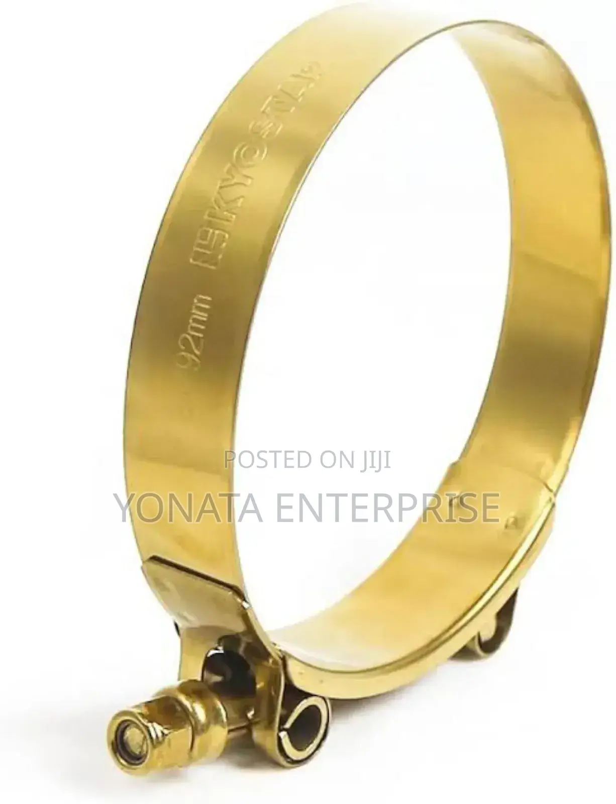 Gold Hose Clips