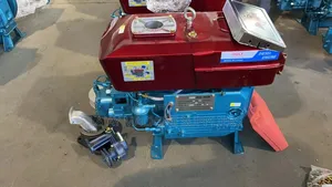Golf Germany Zs1130 Diesel Water-Cooled Engine 30hp