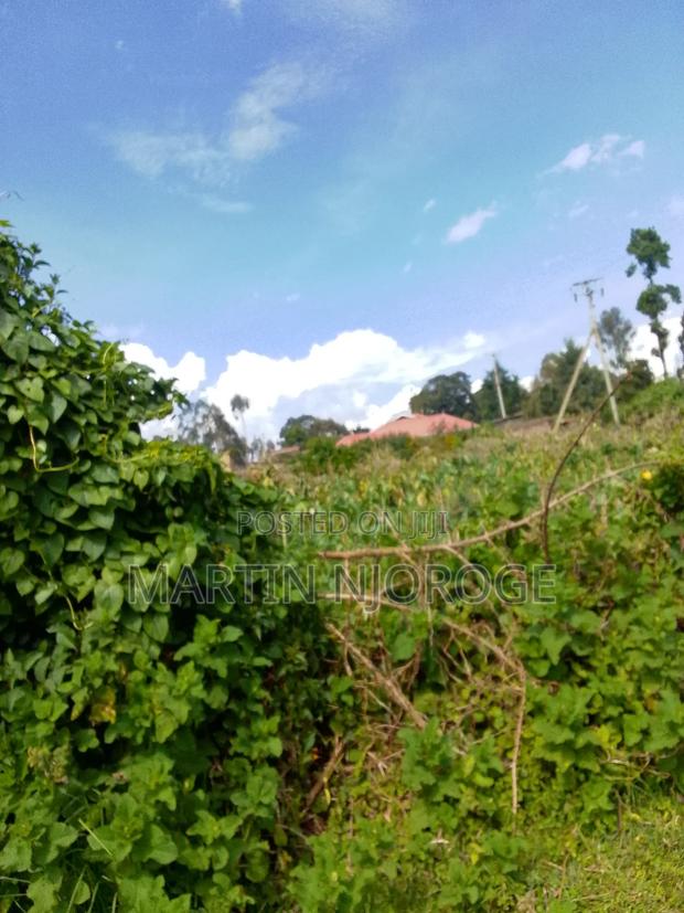 50 by 100 Kamandura - main view