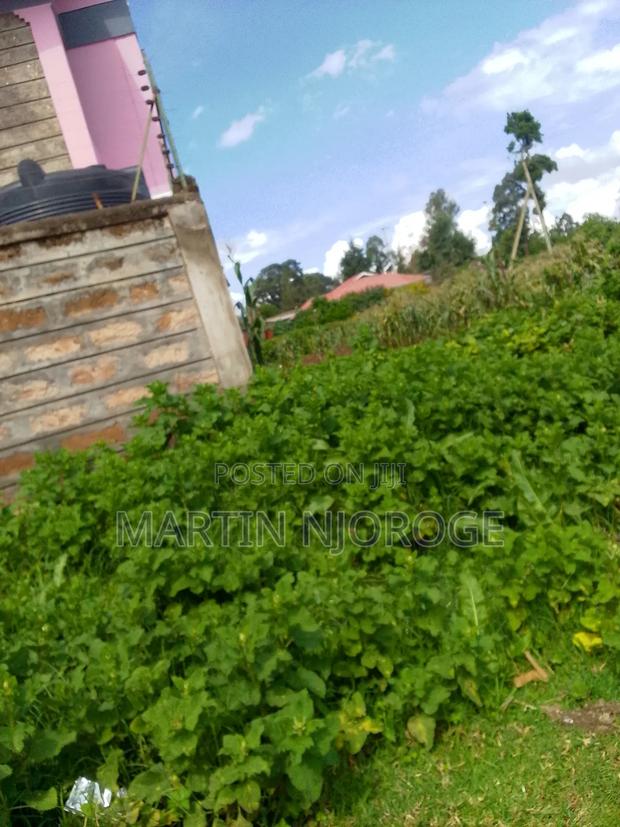 50 by 100 Kamandura - thumbnail 3