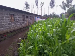 1bdrm House in Maili Sita, Nakuru Town East for sale