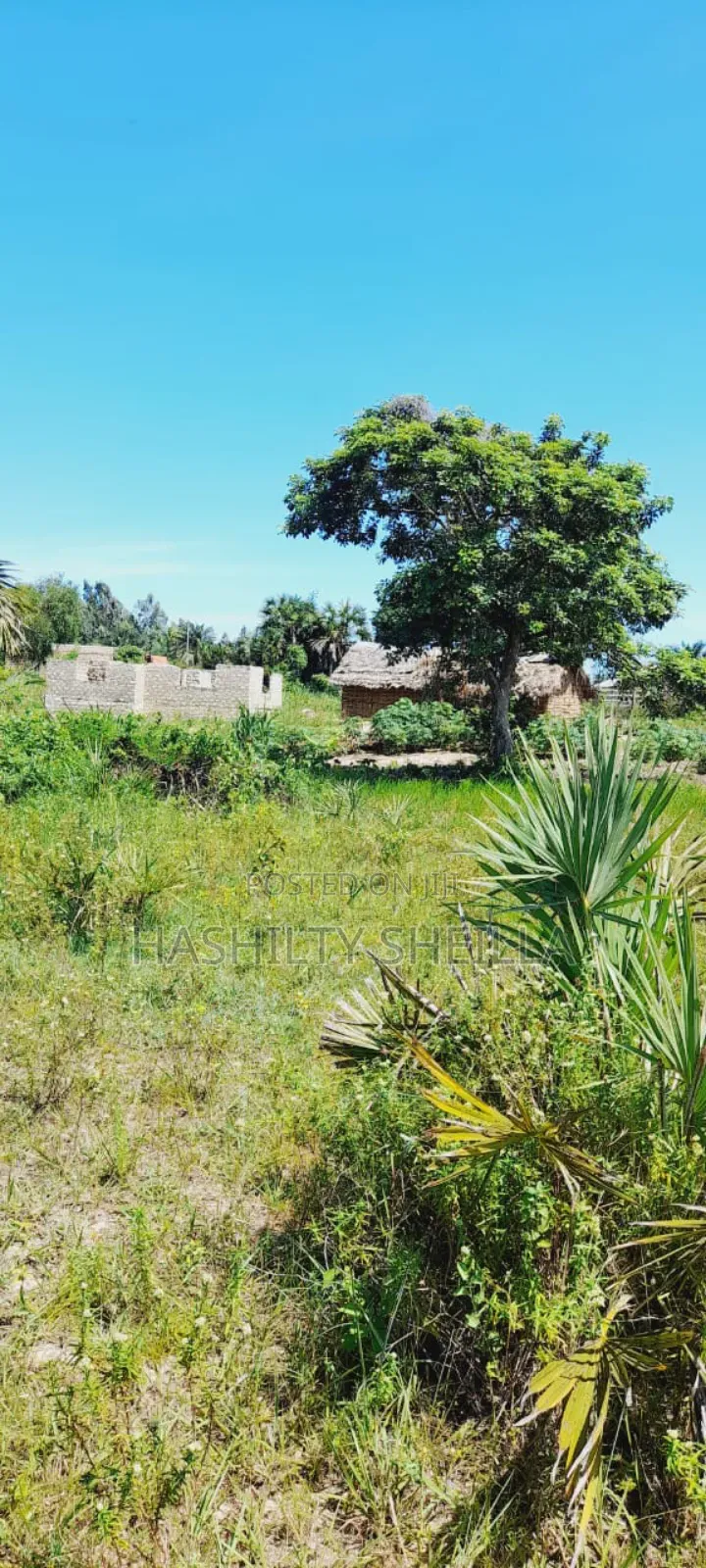 3 Acre Land for Sale in Shimoni South Coast