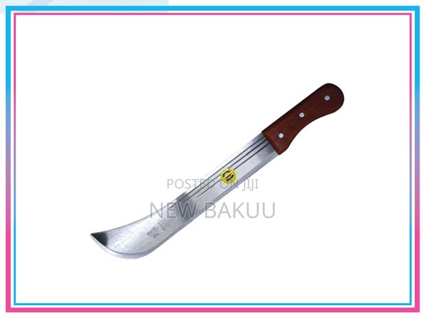 Alligator Panga - main view