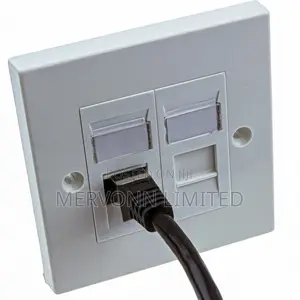 Twin/Double Data Faceplate – Dual Port Rj45 Wall Plate