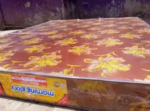 Mattress! High Quality Morning Glory Superfoam4*5*6