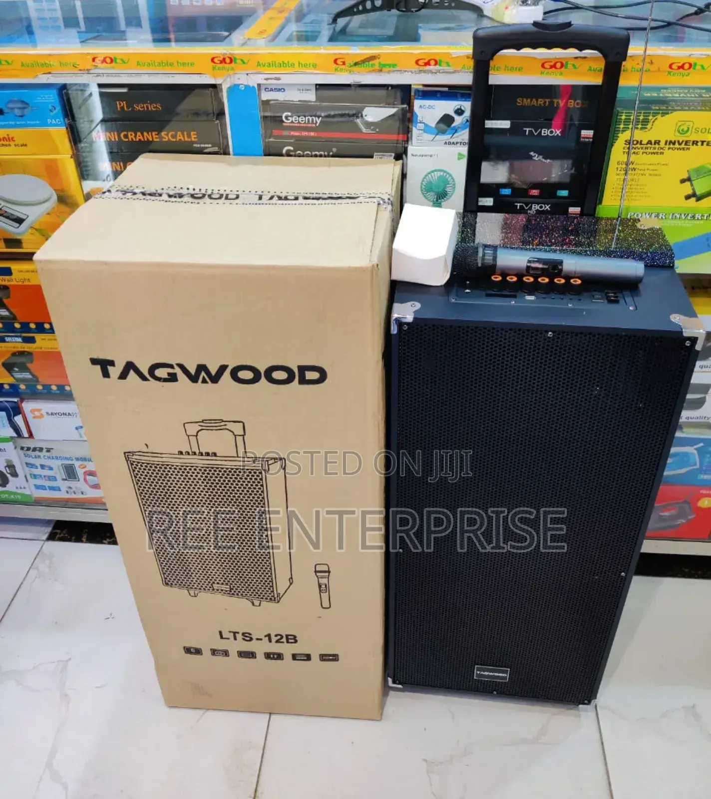 Best Tagwood 12" 12b Rechargeable Double Built-in Speakers