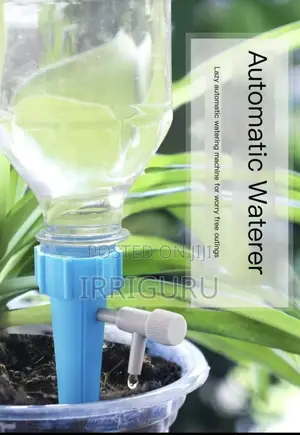 Flowers, Horticulture, Irrigation, Home Potted Plants, Bever