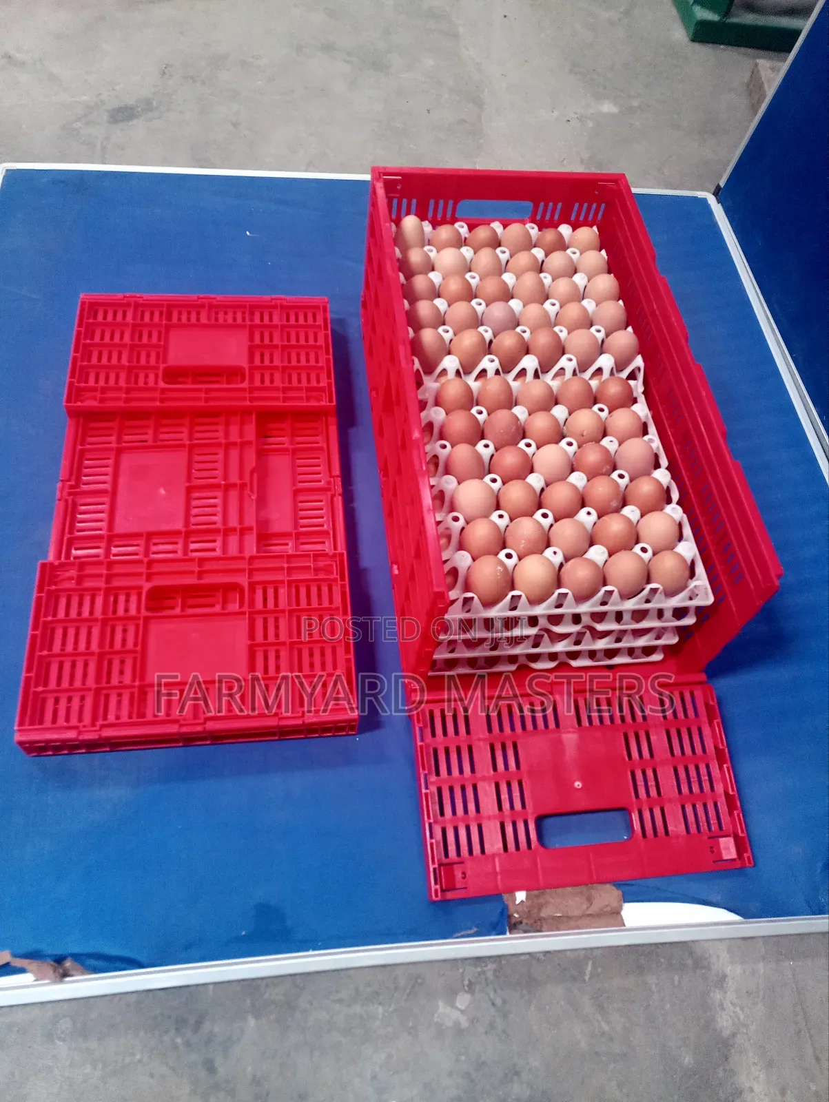 Egg Transportation Crates