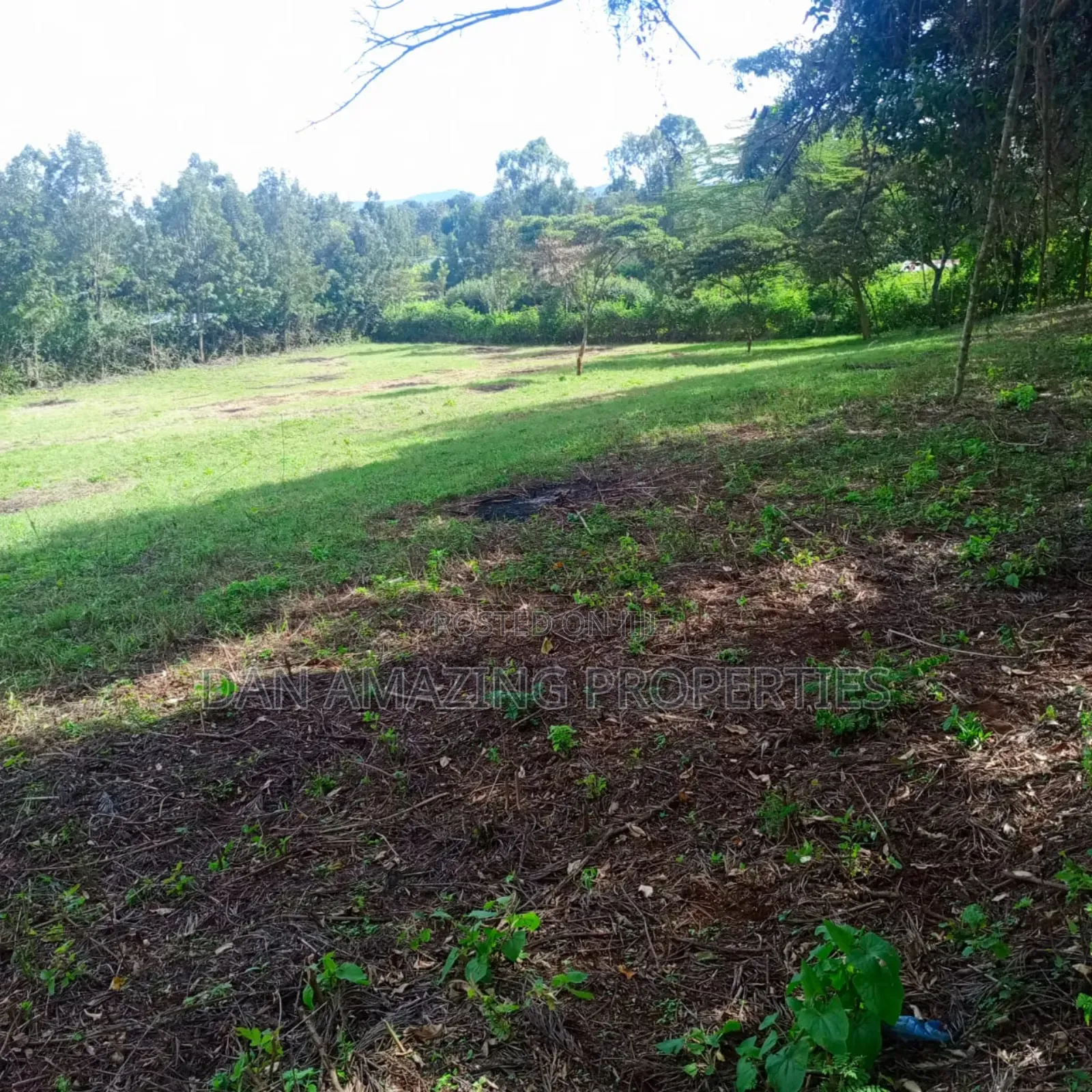 1 Acre Red Soil Land for Sale in Ngong Olkeri